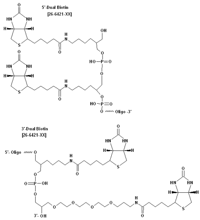 Biotinylated Dna